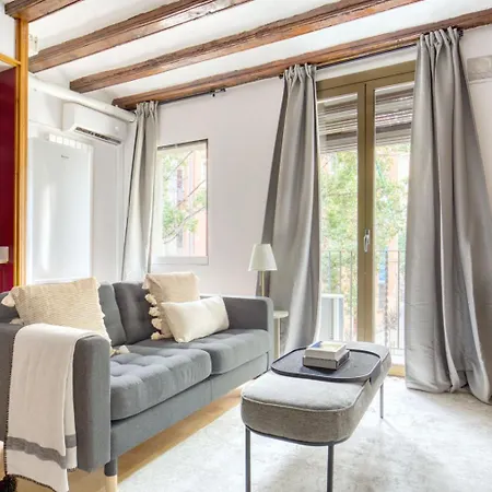 El Born 1br W Square View Bcn-35 Apartment